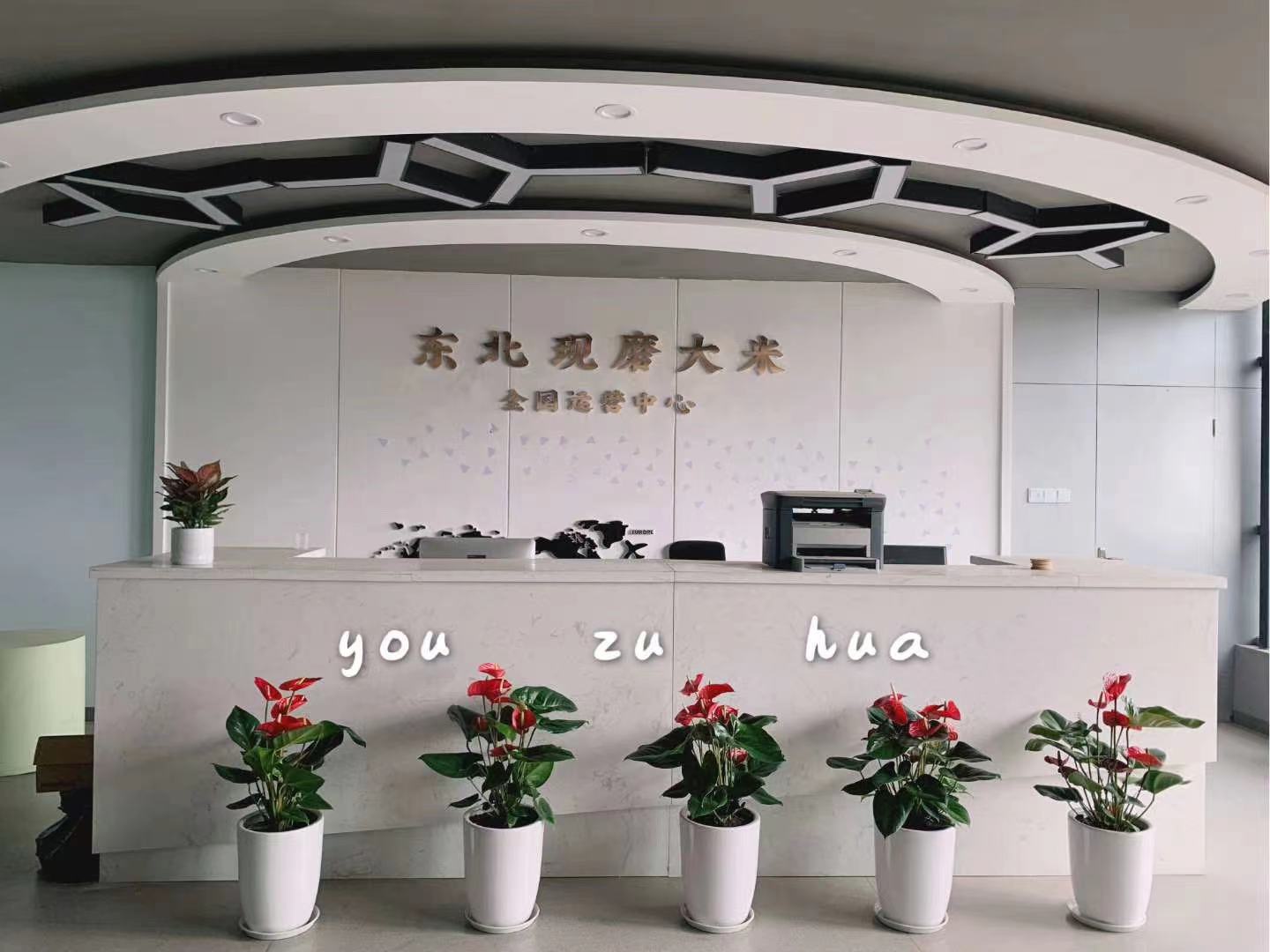 成都优租花_绿植租摆|绿植租赁案_魔灯引力