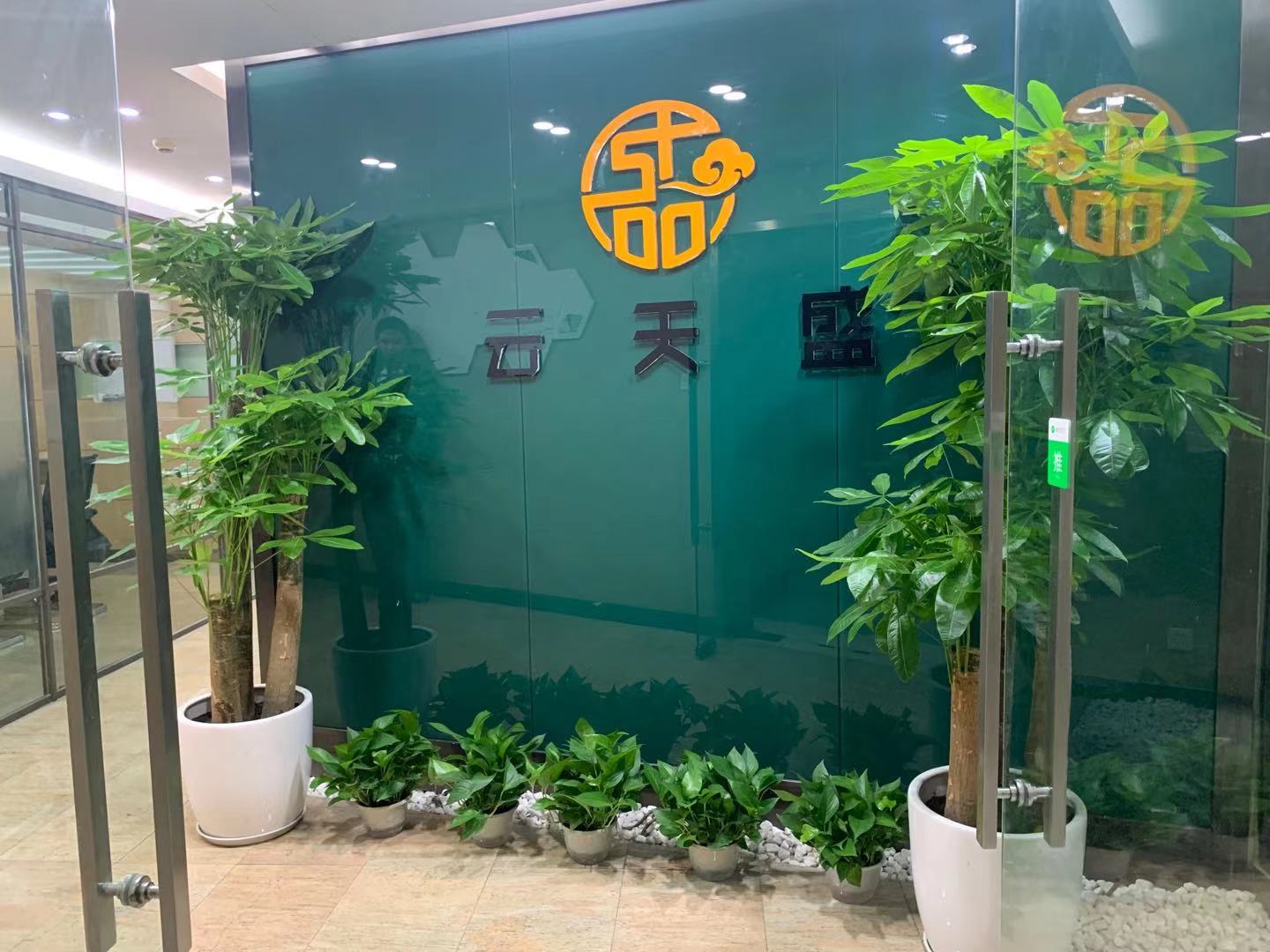 成都优租花_绿植租摆|绿植租赁案例_天一清