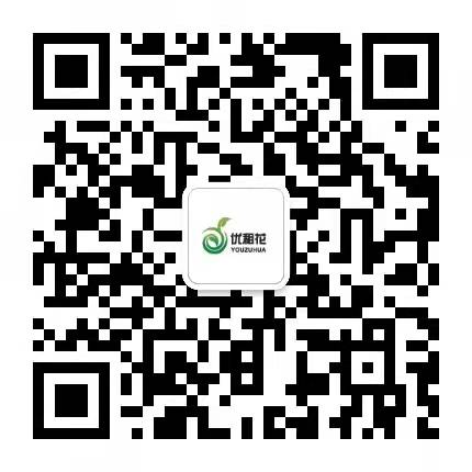 成都优租花_咨询成都办公室绿植租摆价格_客服微信